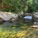 회두민박 이미지