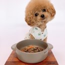 위닝푸드 이미지