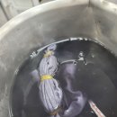 천연염색 배우기 이미지