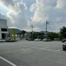 지박사막국수(무실점) | 강원도 원주 무실동 지박사 막국수 맛집 후기