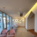 블랑도도 이미지