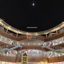 고양관광정보센터 1층 | 고양 관광정보센터 BTS 특별전, 일산 호수 공원 사계절 풍경 사진 꽃박람회 북카페