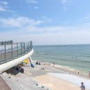 대천해수욕장 만남의 광장 이미지