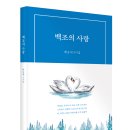 백조와 믿음 이미지