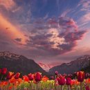 마라천국 이미지