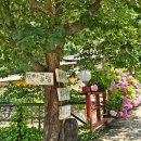 흙의사람들 민박 이미지