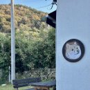 시바별장 이미지