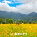 구례군청소년수련원 이미지