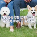 메종동물병원 | 반려동물 동반 출입 음식점 구분법과 지켜야 할 위생 기준