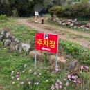 안심정 | 경주 한옥펜션 촌캉스 시골감성 하늘터밭 안심정 솔직후기