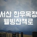 옛날손두부&국수 이미지
