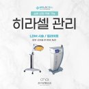 초이성형외과