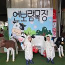 여물소농장 | 김포 연보람목장 비오는날 낙농체험 피자만들기 주차장