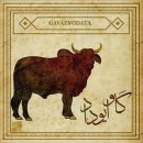 NR-15[우주로]-상-175 | 미트라교 : 3-3