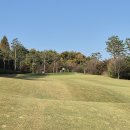 소피아그린 이미지