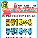 애니피그 이미지