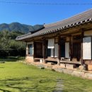 차꽃오미 이미지