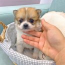 말끔이세탁소 이미지