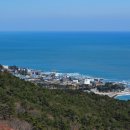 주전어촌체험마을 이미지