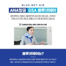 블루넷에어주
