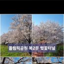 올림픽공원 북2문 이미지