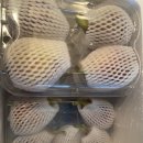 희망농원 | 맛있는 무화과를 찾아서 - 농라 희망농원 , 서태민무화과 구매후기(100% 내돈내산)