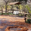 경상남도수목원(수생식물원) 이미지