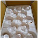 가정농장 | 제주 숙마담 쇠소깍 감귤농장 천혜향 2차 주문, 가정용 10kg, 솔직 후기