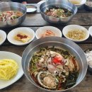 일호명품물회 이미지