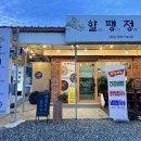 할팽정조