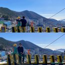 부산 이색카페 오리들과 함께하는 풍경 감천 문화마을 더프 커피 Duf coffee