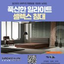 수목토일라이트힐링 이미지