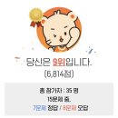 새로나매점