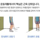 은십자