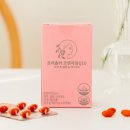엘씨마트 | [공지] 임신 준비부터 출산 후까지, 약사가 직접 설계한 프리솔라 단계별 영양제 가이드