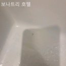 보나트리 호텔 이미지