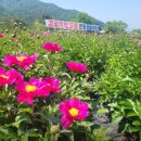 우아농장 이미지