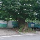 마장4리 이미지