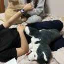 지윤샵 이미지