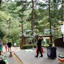 입화산참살이숲야영장 이미지