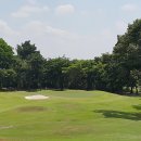 CLUB S 골프클럽 이미지