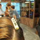 하이크라스 이미지