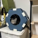 넷플레어 이미지