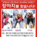 한가정약국 이미지