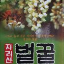 아젤리아 펜션 이미지