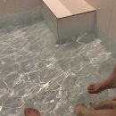 스테이 누누 네이버블로그