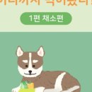 상암동물병원 이미지