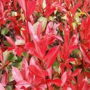 순희농장 이미지