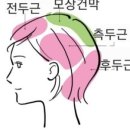 도나컨시어지 이미지