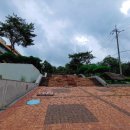 시아와 친구들 : 트레저 헌터즈 이미지